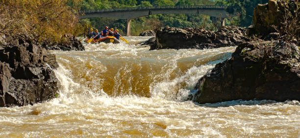 grupo de amigos fazendo rafting em um barco inflável nas corredeiras do rio itajaí-açu, na cidade de apiúna, em santa catarina. um dos melhores rios do brasil para praticar esse esporte - teamwork oar achievement sports team - fotografias e filmes do acervo