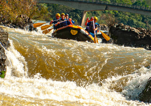 grupo de amigos fazendo rafting em um barco inflável nas corredeiras do rio itajaí-açu, na cidade de apiúna, em santa catarina. um dos melhores rios do brasil para praticar esse esporte - teamwork oar achievement sports team - fotografias e filmes do acervo