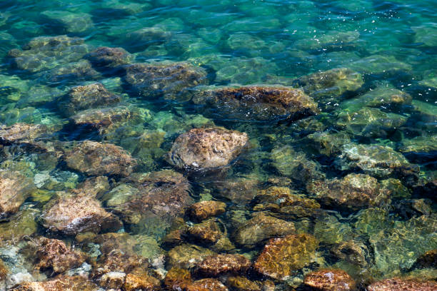 Rocks at coastal seabed at Monterosso al Mare, one of the famous seaside villages in Cinque Terre National Park in La Spezia region, Italy