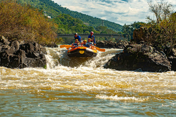 gruppo di amici che fa rafting su un gommone nelle rapide del fiume itajaí-açu, nella città di apiúna a santa catarina. uno dei migliori fiumi del brasile per praticare questo sport - teamwork oar achievement sports team foto e immagini stock