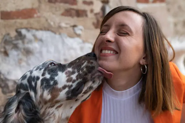 Photo of A dog licking a girl on the chin stock photo