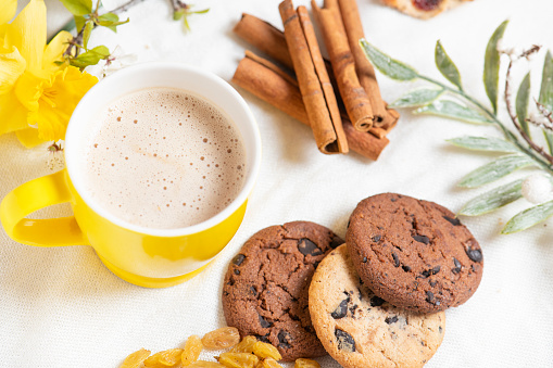 Morning breakfast. Cup of cappuccino, cookies with chocolate, cinnamon stick. and grape raisin on the white.background and spring flowers.