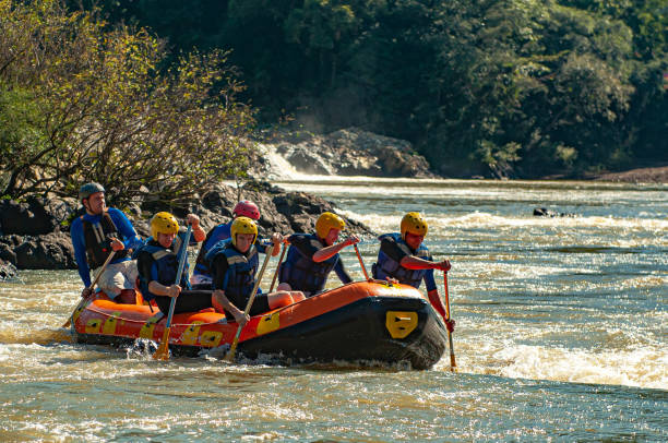 grupo de amigos fazendo rafting em um barco inflável nas corredeiras do rio itajaí-açu, na cidade de apiúna, em santa catarina. um dos melhores rios do brasil para praticar esse esporte - teamwork oar achievement sports team - fotografias e filmes do acervo