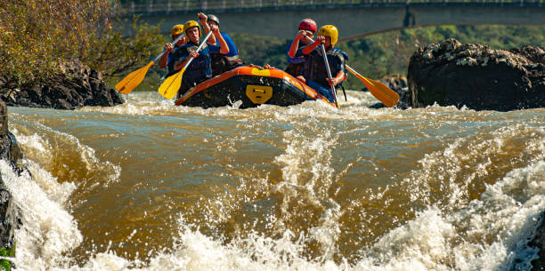 grupo de amigos fazendo rafting em um barco inflável nas corredeiras do rio itajaí-açu, na cidade de apiúna, em santa catarina. um dos melhores rios do brasil para praticar esse esporte - teamwork oar achievement sports team - fotografias e filmes do acervo