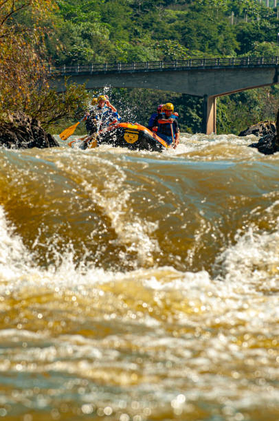 grupo de amigos fazendo rafting em um barco inflável nas corredeiras do rio itajaí-açu, na cidade de apiúna, em santa catarina. um dos melhores rios do brasil para praticar esse esporte - teamwork oar achievement sports team - fotografias e filmes do acervo