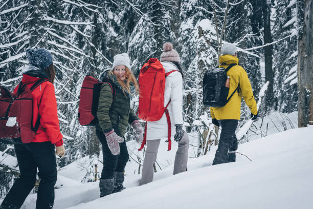 istock Friends hike through snowy forest 1218824982