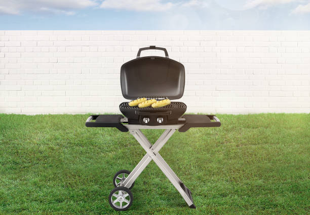 istock Portable picnic vegetarian bbq in a backyard 1218827748