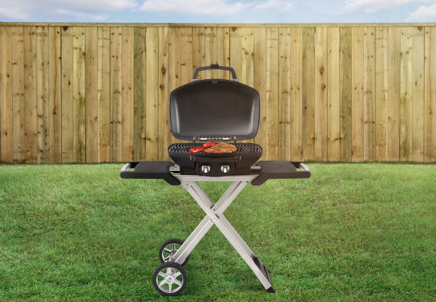 istock Portable picnic bbq in a backyard 1218827754