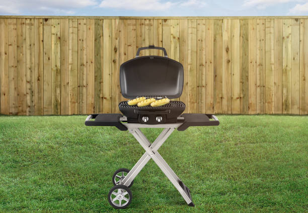 istock Portable picnic vegetarian bbq in a backyard 1218827757