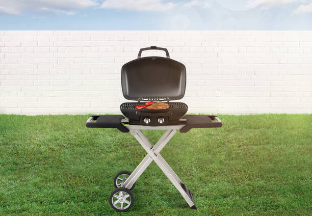 istock Portable picnic bbq in a backyard 1218827776