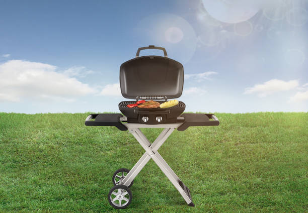 istock Portable picnic bbq in a field 1218827947