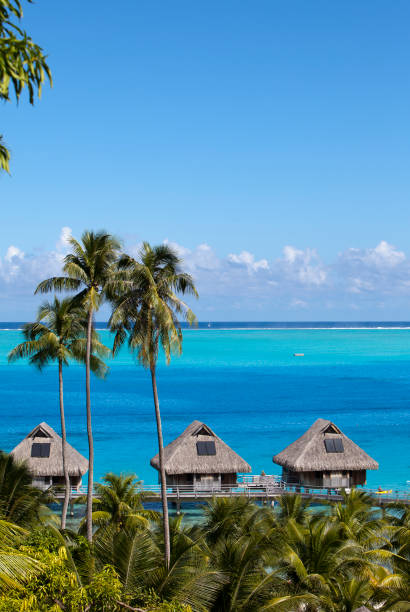 istock French Polynesia. Over water bungalows and palm trees 1218828750