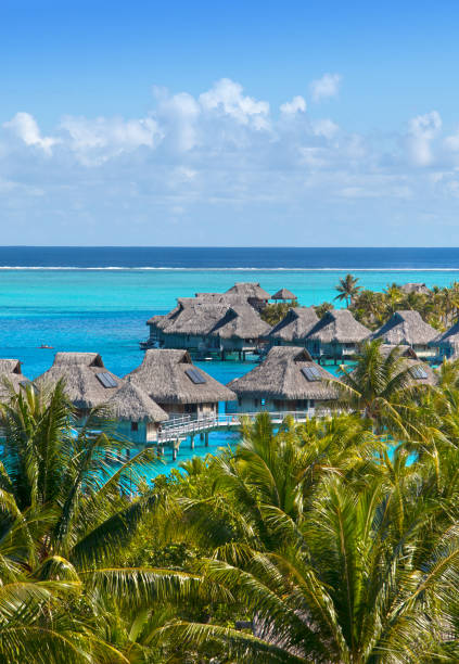 french polynesia. over water bungalows and palm trees - bora bora polynesia beach bungalow imagens e fotografias de stock
