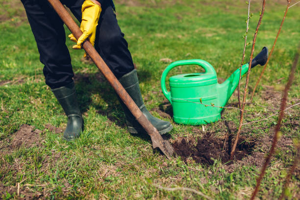 istock Gardener planting tree in spring garden using shovel. Farmer working outdoors. Environment and eco system 1218830015