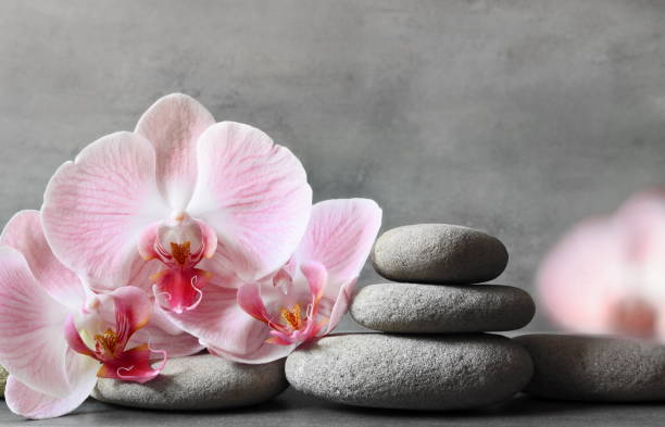 istock Spa stones and pink orchid on the grey background. 1218830049