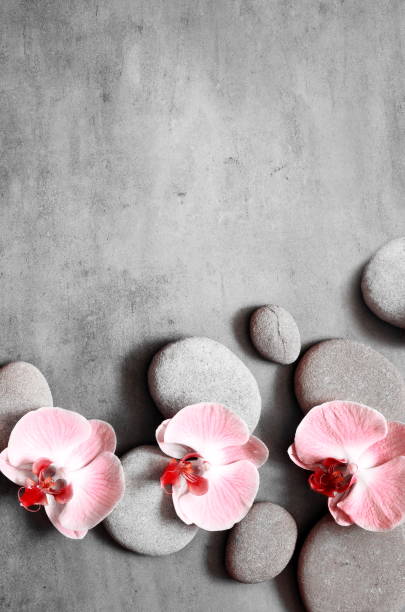 istock Spa stones and pink orchid on grey background. 1218830075