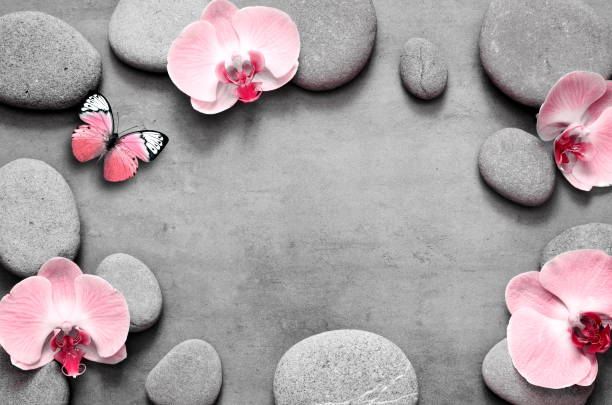 istock Spa stones and pink orchid on grey background and butterfly. 1218830082