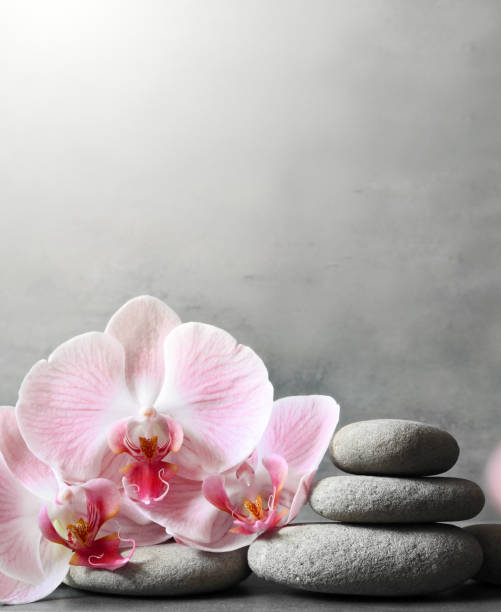 istock Spa stones on gray background with orchids. 1218830096