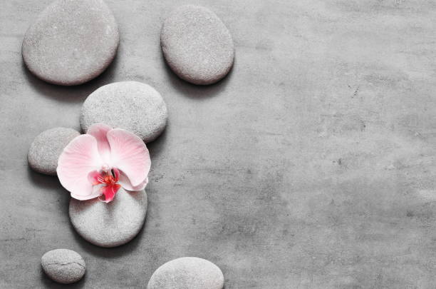 istock Spa stones and pink orchid on grey background. 1218830244