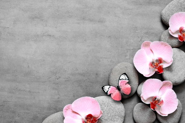 istock Spa stones and pink orchid on grey background and butterfly. 1218830259