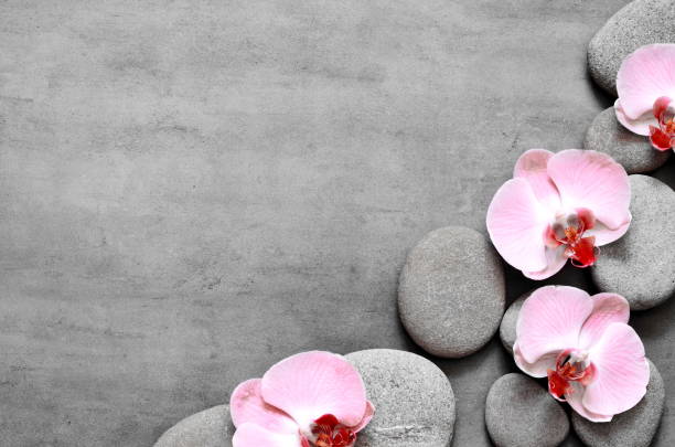 istock Spa stones and pink orchid on grey background. 1218830455