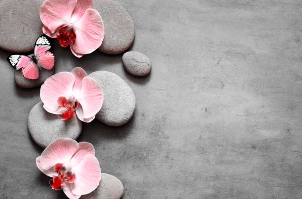 Spa stones and pink orchid on grey background and butterfly.