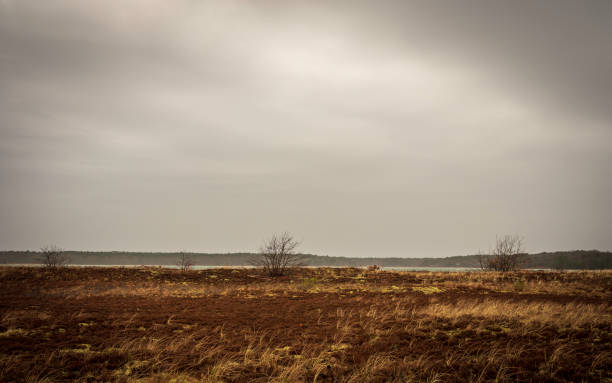 Stormy landscape in New England-USA in April