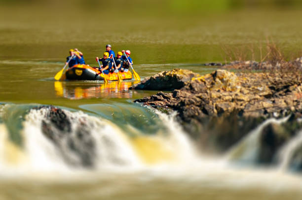 gruppo di amici che fa rafting su un gommone nelle rapide del fiume itajaí-açu, nella città di apiúna a santa catarina. uno dei migliori fiumi del brasile per praticare questo sport - teamwork oar achievement sports team foto e immagini stock