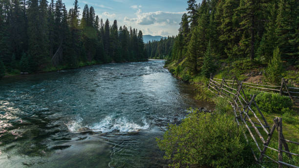 istock malignant lake, Jasper National Park, Alberta, Canada 1218836913