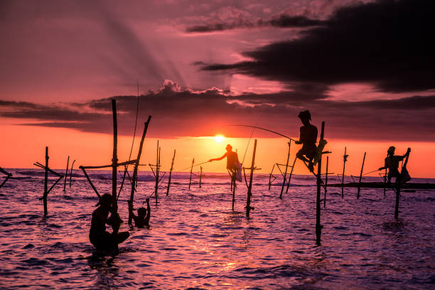 Traditional stilt fisherman in Sri Lanka Traditional stilt fisherman in Sri Lanka southern sri lanka stock pictures, royalty-free photos & images