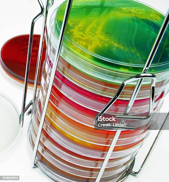 Microbiología Una Pila De Coloridas Placas De Cultivo Bacteriano Foto de stock y más banco de imágenes de Agar-agar