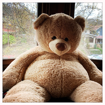 Large sitting Teddy Bear
