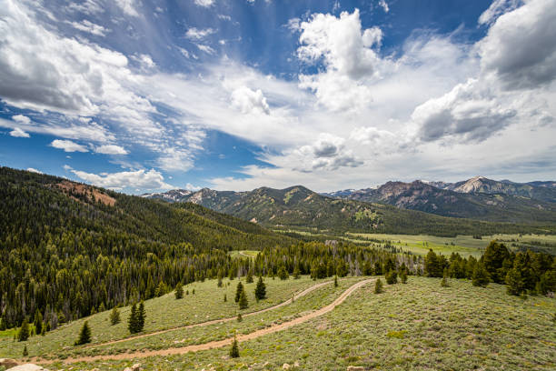 istock Sawtooth National Forest 1218844379