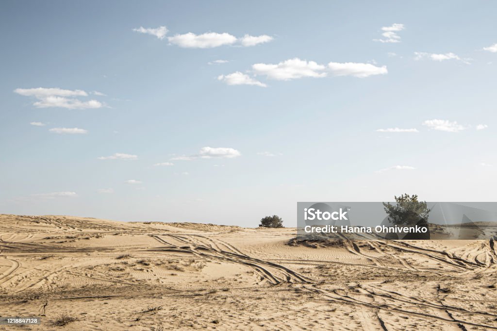 Sa Mạc Kharkiv Sa Mạc Ở Phía Đông Ukraine Sa Mạc Ukraine Rất Nhiều Cát Cồn  Cát Phong Cảnh Sa Mạc Hình ảnh Sẵn có - Tải xuống Hình ảnh Ngay bây