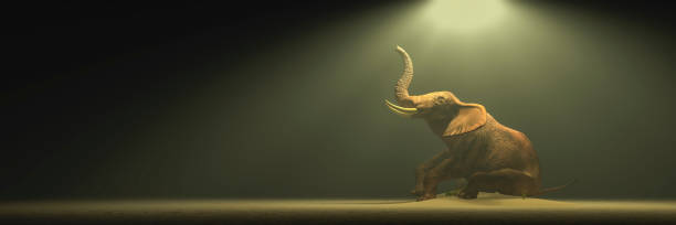 istock elephant in the desert towards an oasis 1218848268