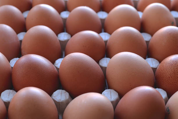 istock Egg stand background. Eggs food products order backdrop. 1218851568