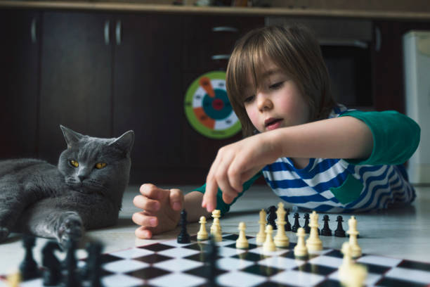 Little boy playing chess. Cat next to him.