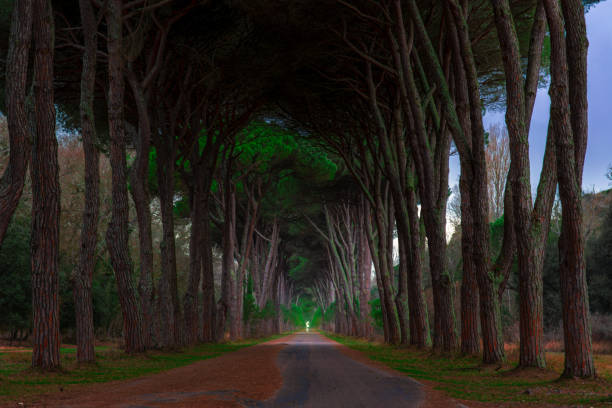 istock Light at the end of the tunnel 1218858885