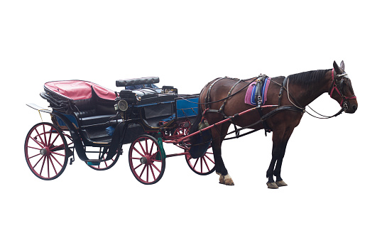Paard en wagen bij de Amish bevolking