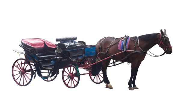 sofá carro de cavalo isolado em fundo branco - carriage - fotografias e filmes do acervo