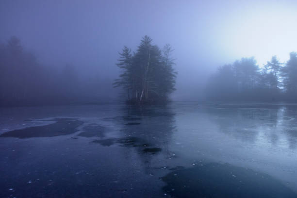 istock Solitary Tree Reflected in Frozen Lake at Night 1218867065