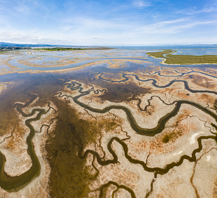 Aerial of Strange Green Waterways in SF Bay Marshland in San Francisco, CA, United States