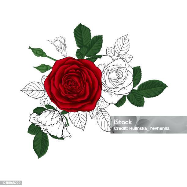 스케치와 빨간 장미와 잎아름다운 꽃다발 꽃꽂이 디자인 인사말 카드 와 결혼식 생일 발렌타인 데이 어머니의 날 및 기타 휴일의 초대장 꽃-식물에 대한 스톡 벡터 아트 및 기타 이미지