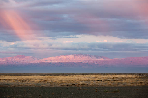 steppe near the mountains. Western Mongolia stock photo