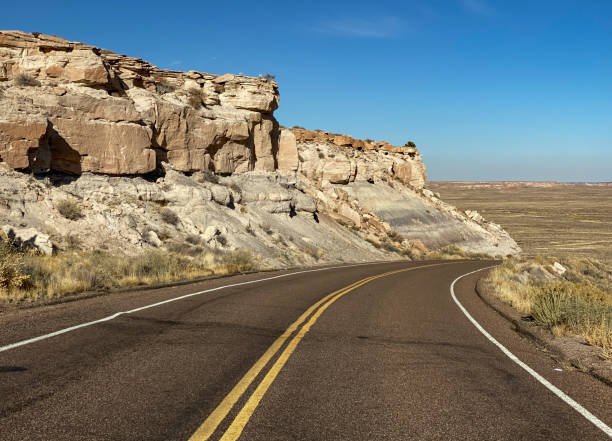istock Road Through Petrified Forest National Park 1218869970