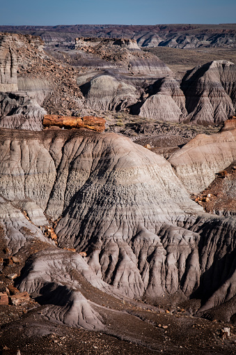 Petrified Forest National Park in Arizona.