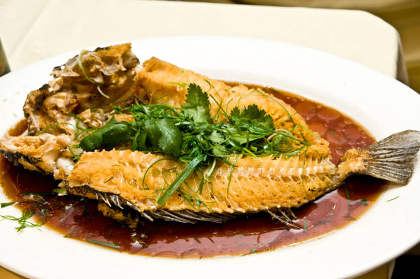 istock Different variety of fish dishes and cuisine 1218871106