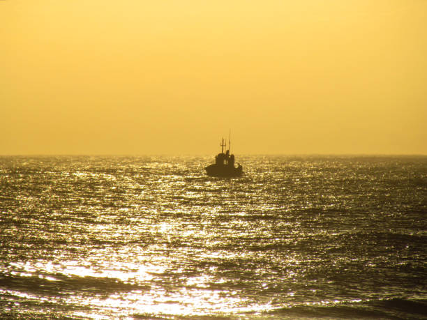 istock Fishing boat starting its work at dusk 1218874445