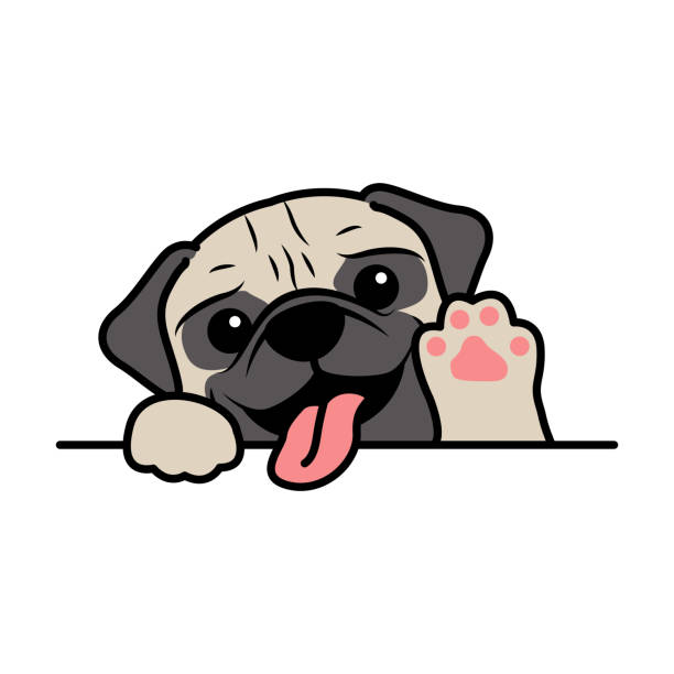 Cute pug dog waving paw cartoon, vector illustration Cute pug dog waving paw cartoon, vector illustration pug stock illustrations