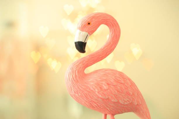 czerwonak - plastic flamingo zdjęcia i obrazy z banku zdjęć